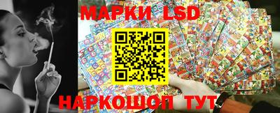 спиды Моздок