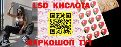 спиды Моздок