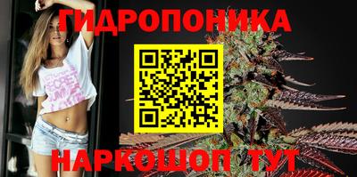 Альфа ПВП Можга