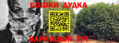Альфа ПВП Можга